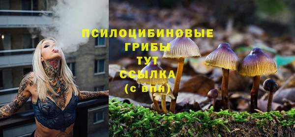 гидропоника Каменск-Шахтинский