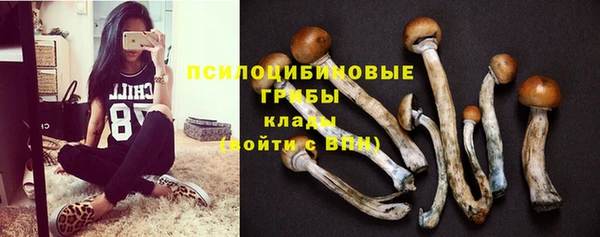 прущий лед Инта