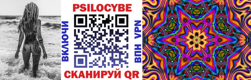 Галлюциногенные грибы MAGIC MUSHROOMS Купить закладки Новомичуринск